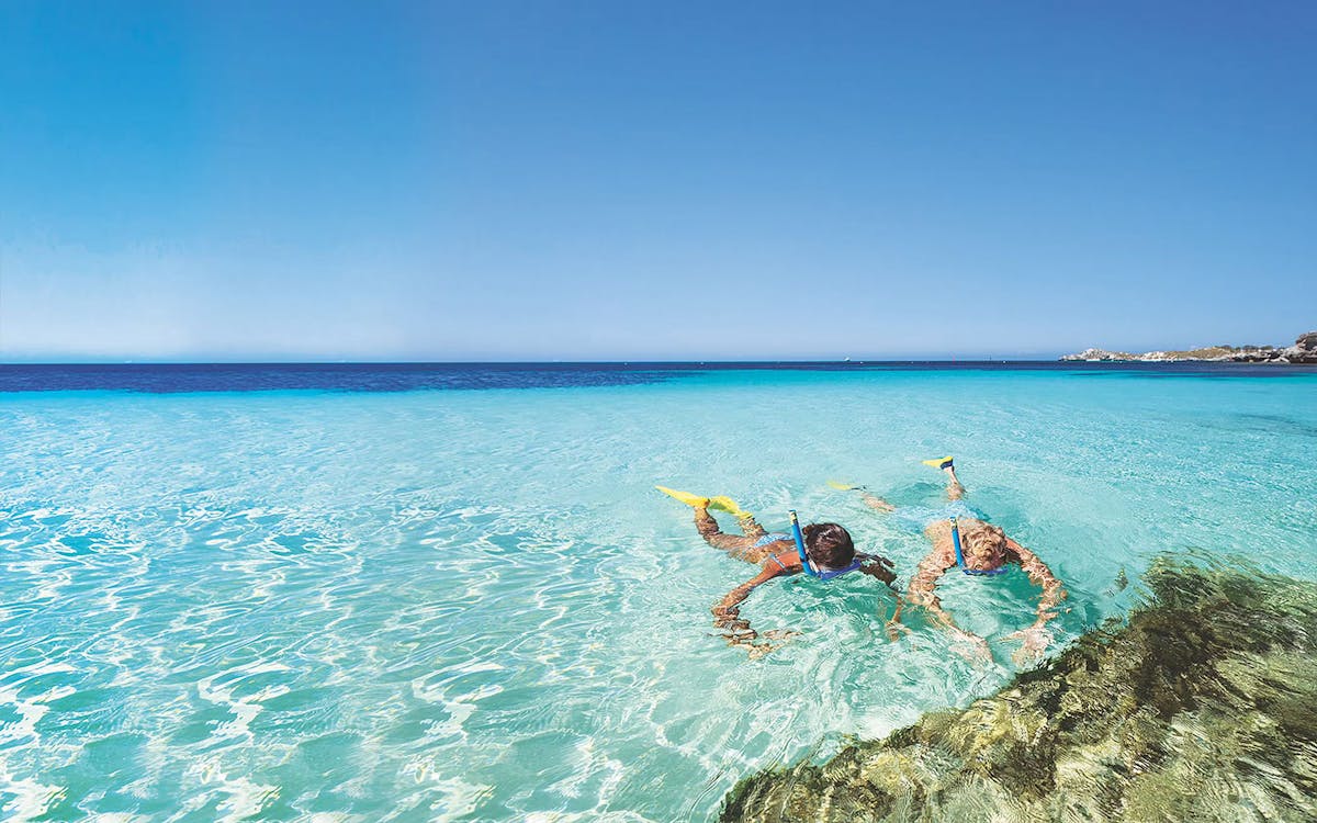 guided tour of rottnest island with round-trip ferry transfer-8 guided tour of rottnest island with round-trip ferry transfer-8