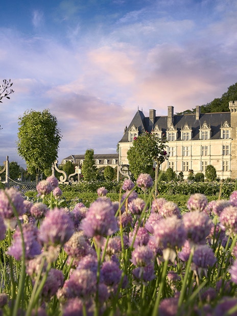 Villandry Gardens with Château in background, featuring vibrant flowers and manicured hedges.