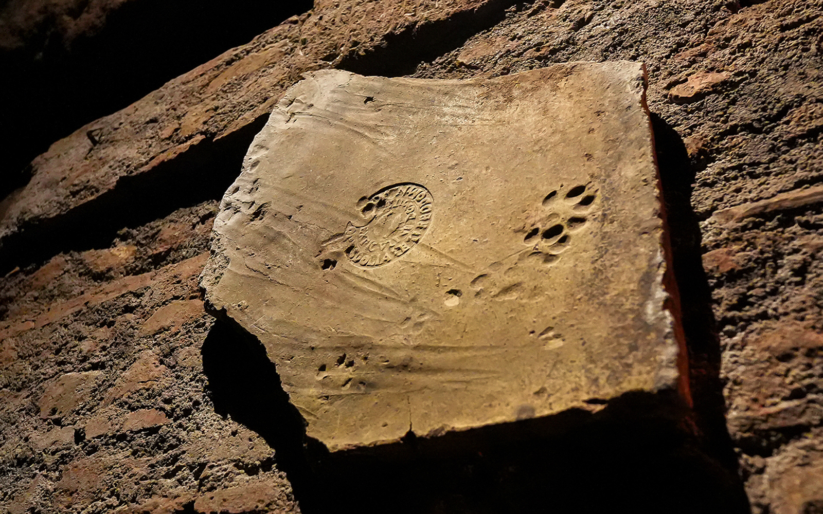 Frescoes on stone with paw prints at Capuchin Crypt.