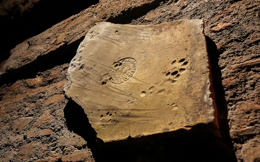 Frescoes on stone with paw prints at Capuchin Crypt.