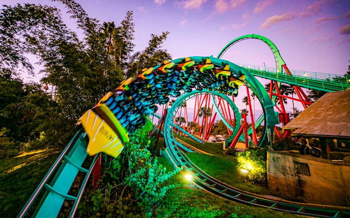 Roller coaster at Busch Gardens, Tampa Bay, with vibrant loops and lush surroundings.