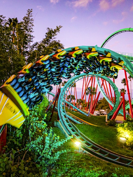 Roller coaster at Busch Gardens, Tampa Bay, with vibrant loops and lush surroundings.