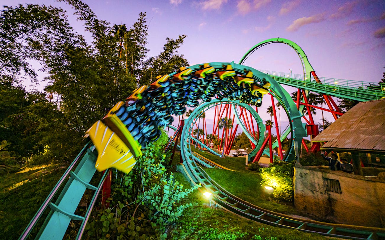 Roller coaster at Busch Gardens, Tampa Bay, with vibrant loops and lush surroundings.