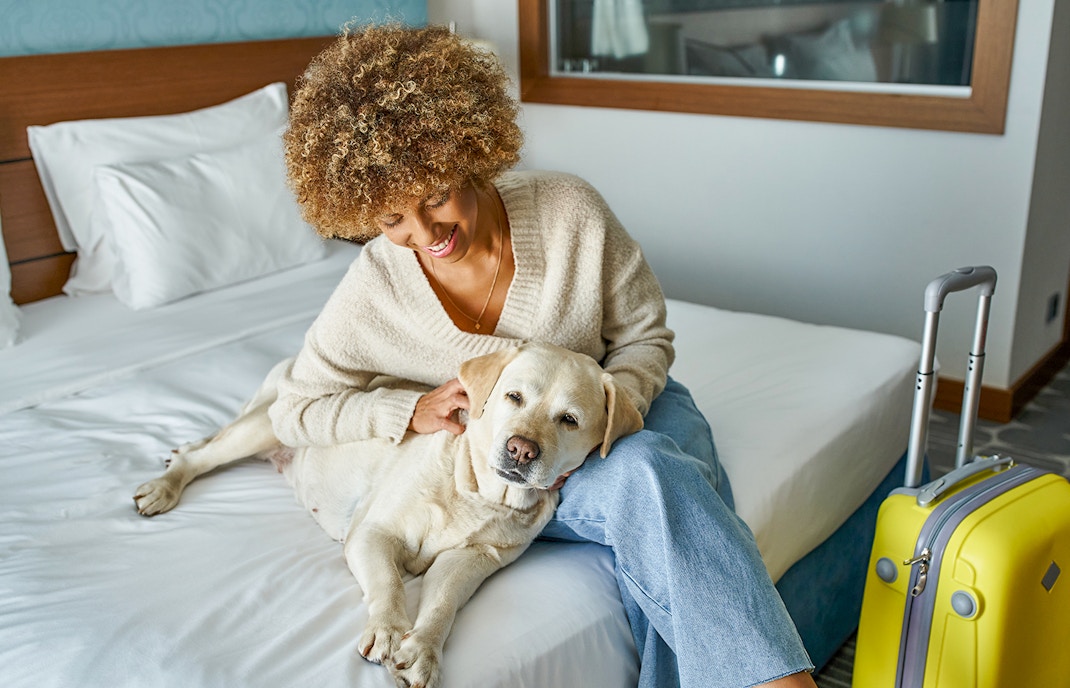 Pet-friendly hotel room.
