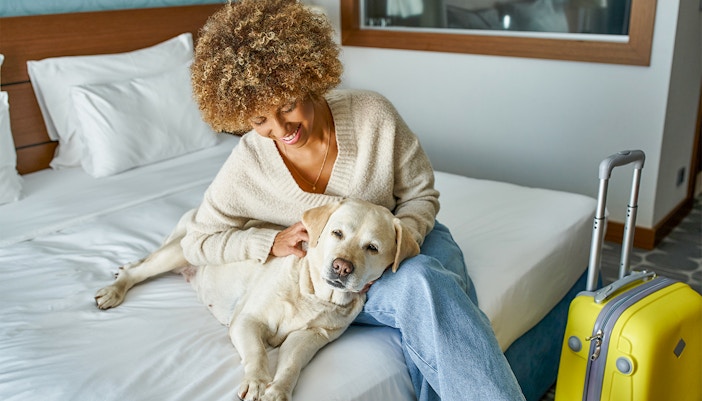 Pet-friendly hotel room with a cozy bed and pet amenities in a welcoming setting.