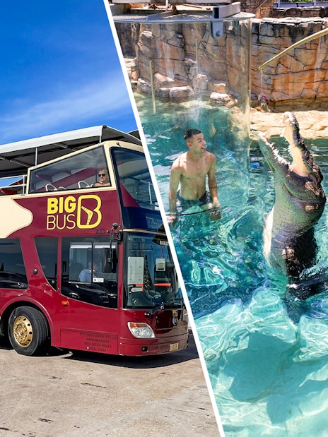 Darwin Big Bus tour and Crocosaurus Cove crocodile encounter.