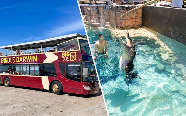 Combo: Darwin Hop-on Hop-off Bus Tour + Crocosaurus Cove Tickets + RFDS Facility Tickets