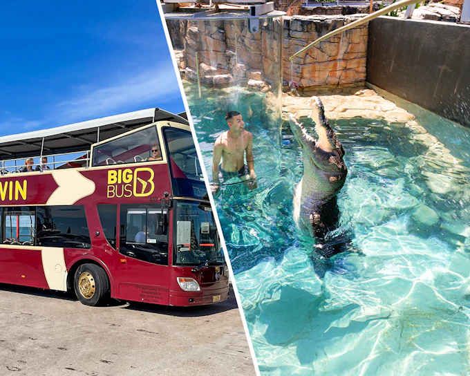 Combo: Darwin Hop-on Hop-off Bus Tour + Crocosaurus Cove Tickets + RFDS Facility Tickets