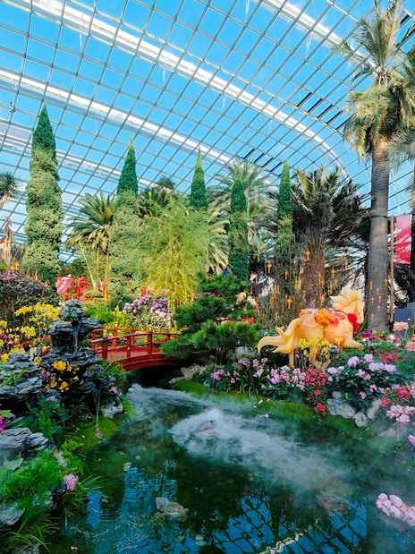 Spring blossoms in Flower Dome, Gardens by the Bay, Singapore with vibrant flowers and lush greenery.