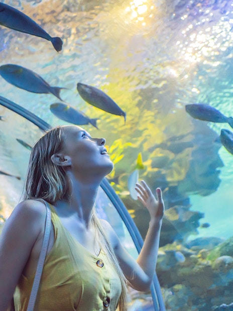 Woman observing fish in an underwater tunnel at Dubai aquarium.