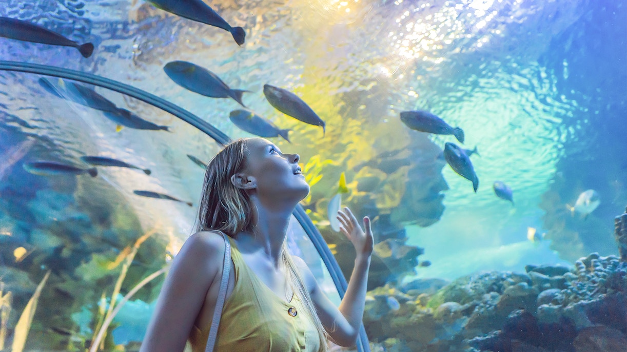 Why visit SEA LIFE Oberhausen?
