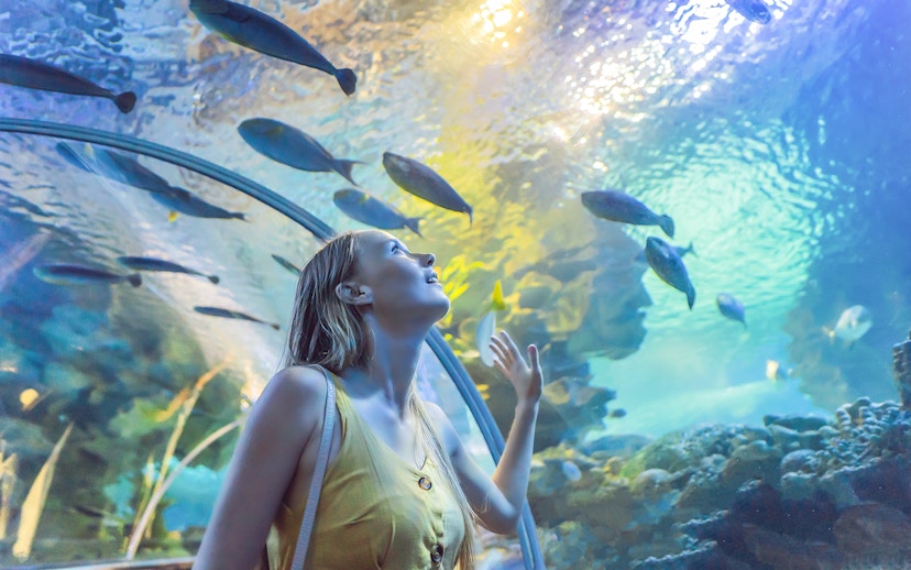 Woman observing fish in an underwater tunnel at Dubai aquarium.