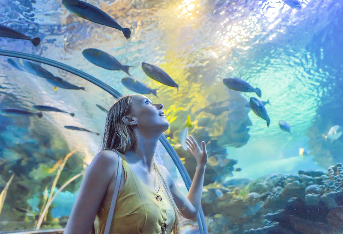 Dubai Aquarium