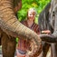 Alimentation et douche des éléphants