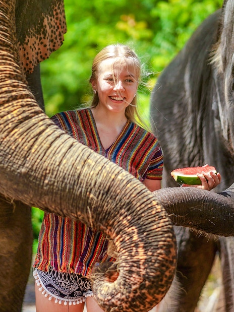 Woman feeding elephants at Elephant Jungle Sanctuary, Phuket, Thailand.