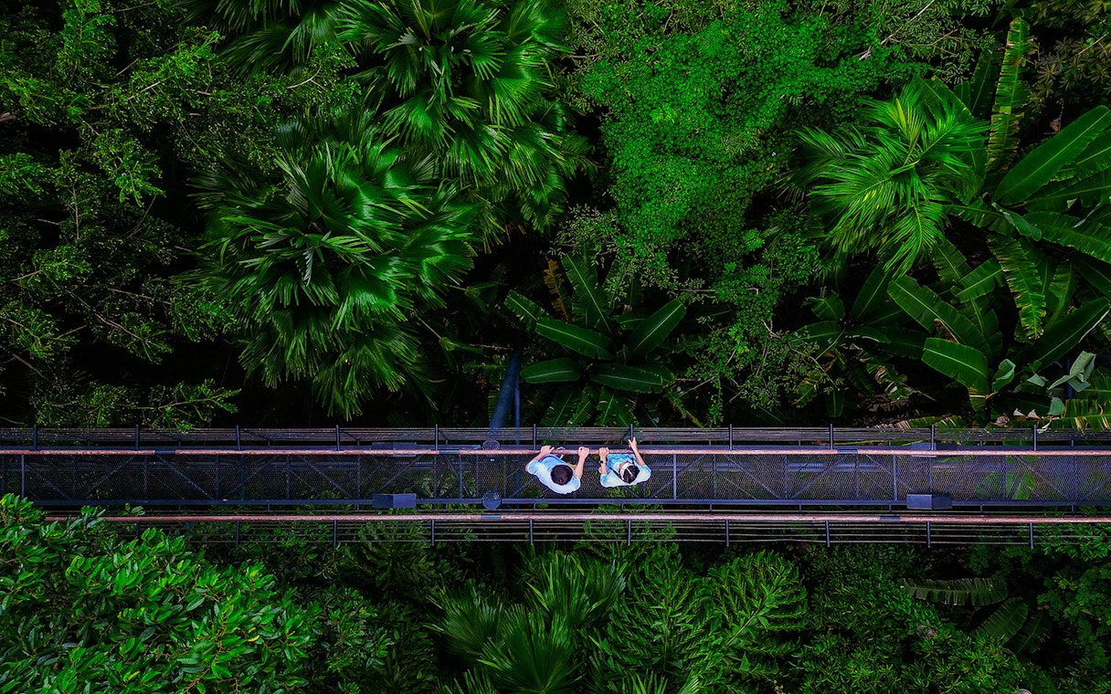 Tourists walking on a canopy bridge at Skywalk Hanuman World, surrounded by lush greenery.