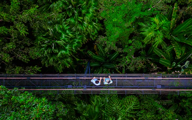 Tourists walking on a canopy bridge at Skywalk Hanuman World, surrounded by lush greenery.