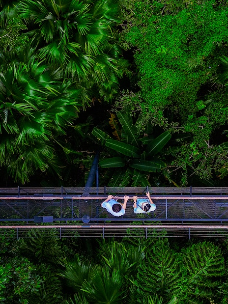 Tourists walking on a canopy bridge at Skywalk Hanuman World, surrounded by lush greenery.