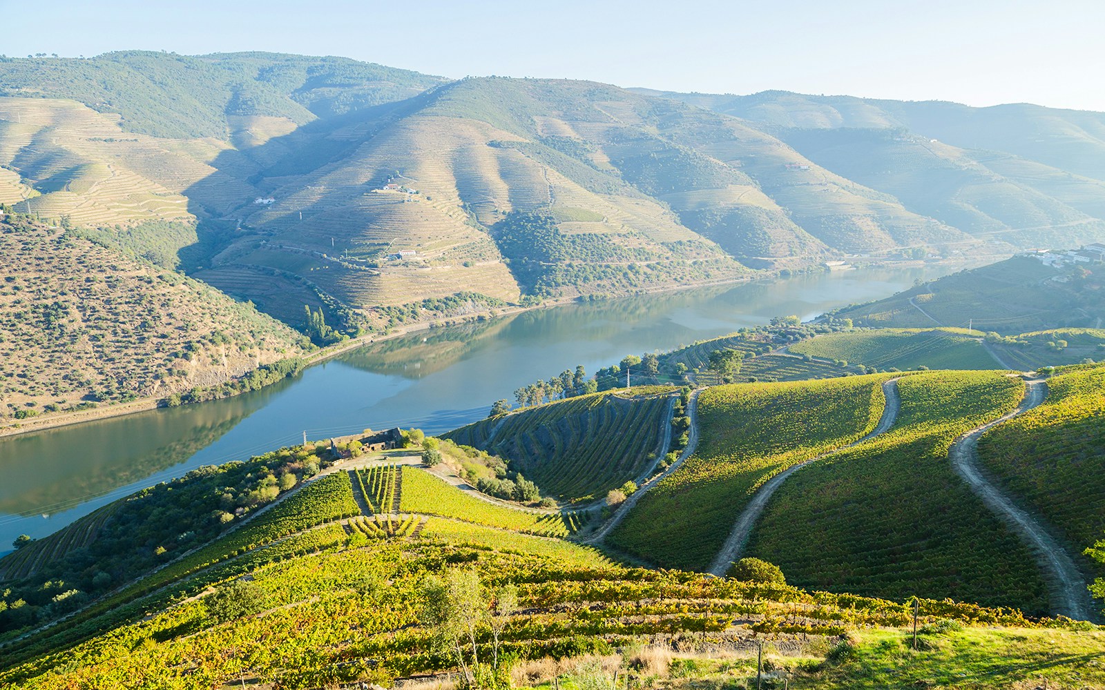 Vineyards and river in Vale do Tua Regional Nature Park, Douro Valley, Portugal.