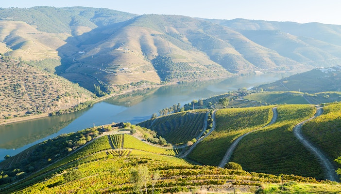 Vineyards and river in Vale do Tua Regional Nature Park, Douro Valley, Portugal.