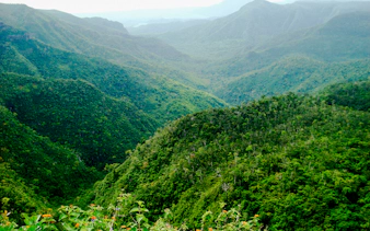 southwest mauritius private day tour with takamaka winery visit and lunch-15
