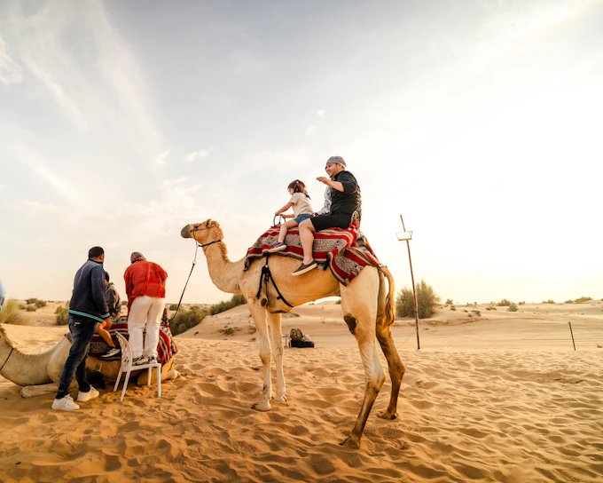 Dubai Evening Desert Safari with BBQ Dinner and Live Shows (Product 52454)