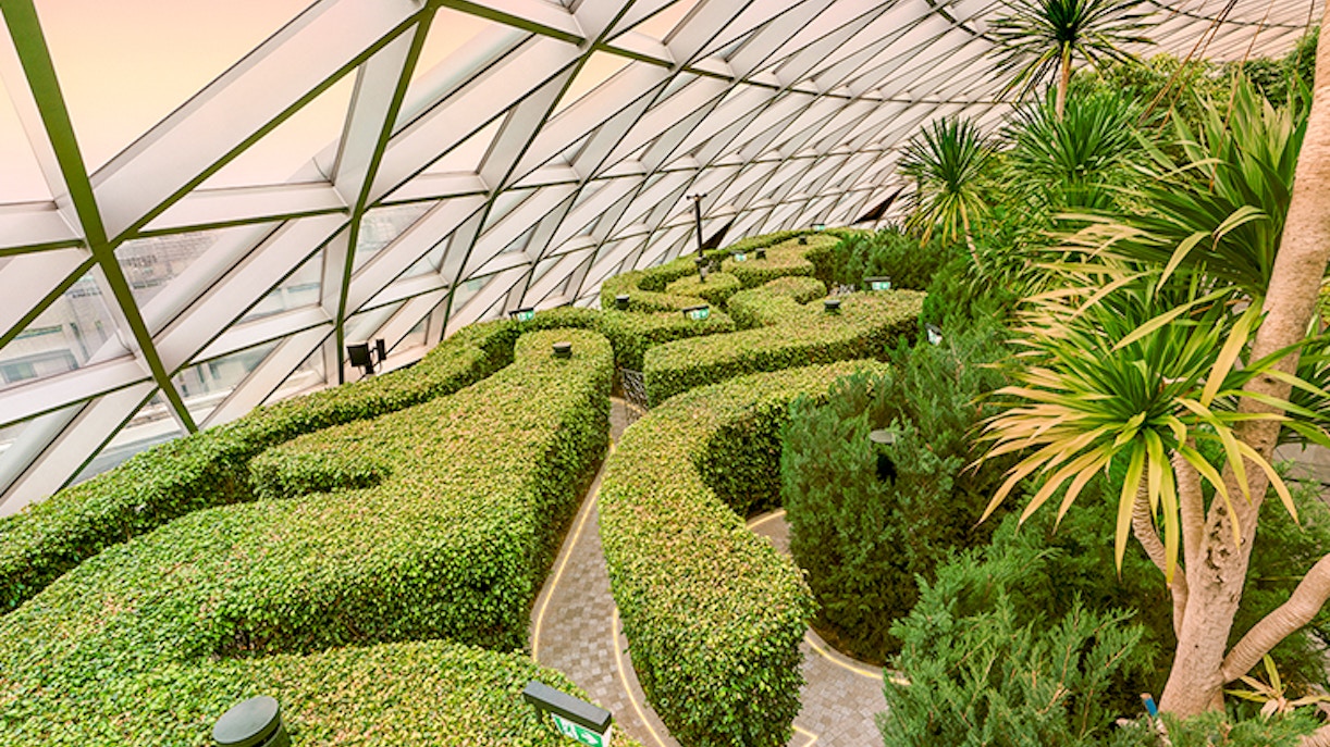 Hedge Maze Jewel Changi