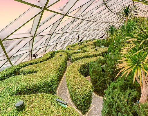Hedge Maze Jewel Changi