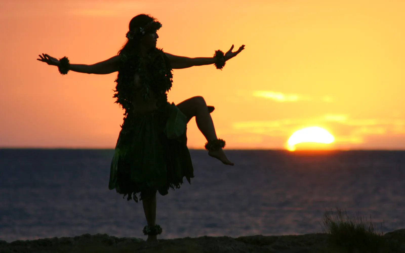 3:30pm/8pm: Aloha and farewell