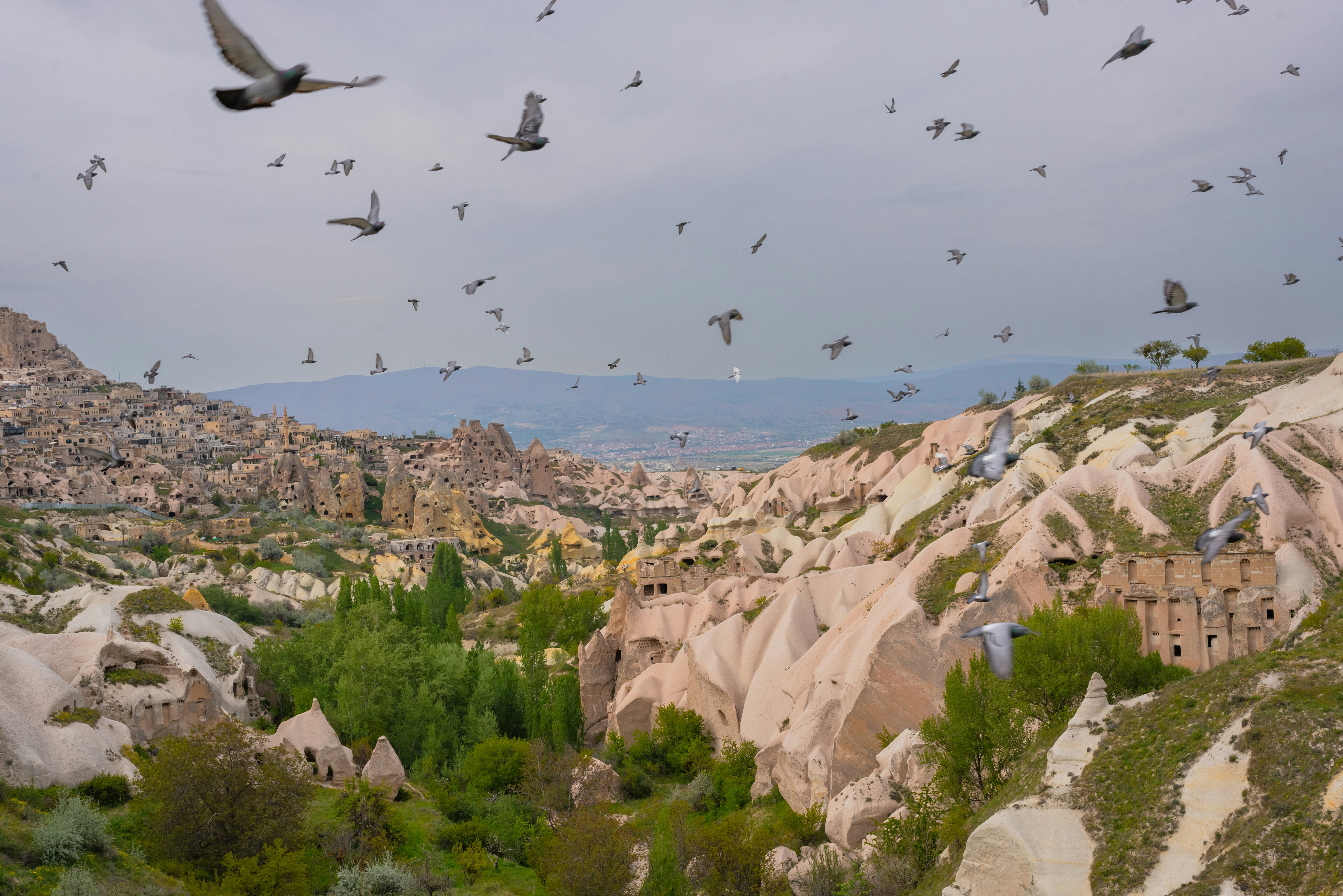 Pigeons flying over Cappadocia's Pigeon Valley with unique rock formations.