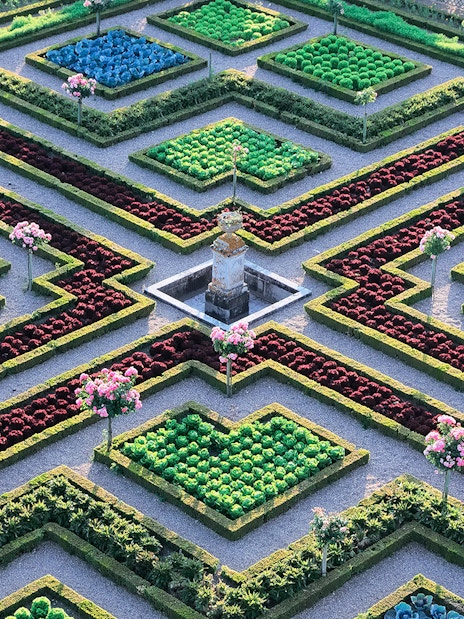 Maze Garden at Château of Villandry with geometric hedges and colorful flower beds.