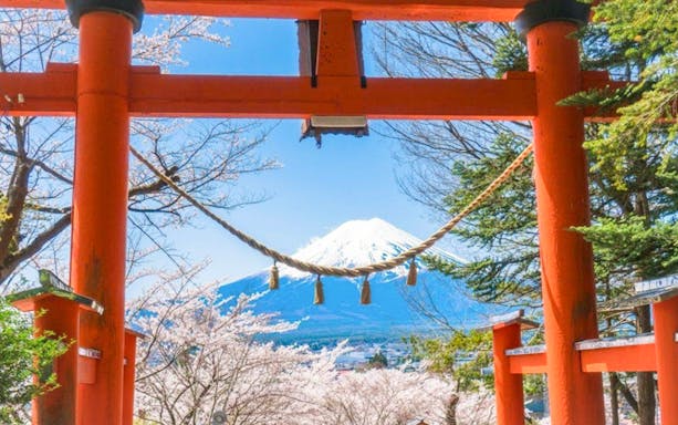 Torii gate framing Mt. Fuji with cherry blossoms at Arakurayama Sengen Park.
