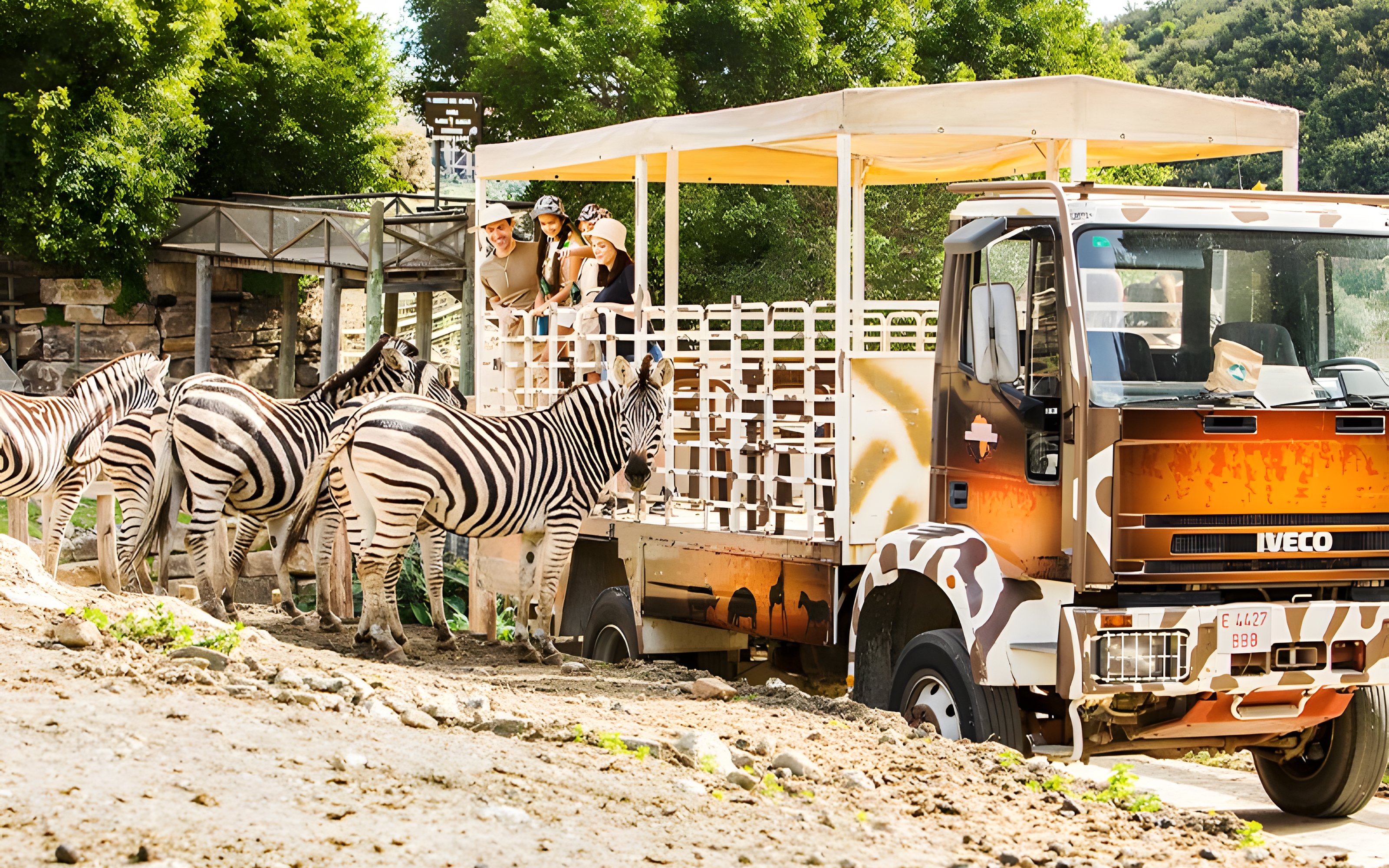 Safari truck with tourists observing zebras at Selwo Aventura park, Estepona, Spain.