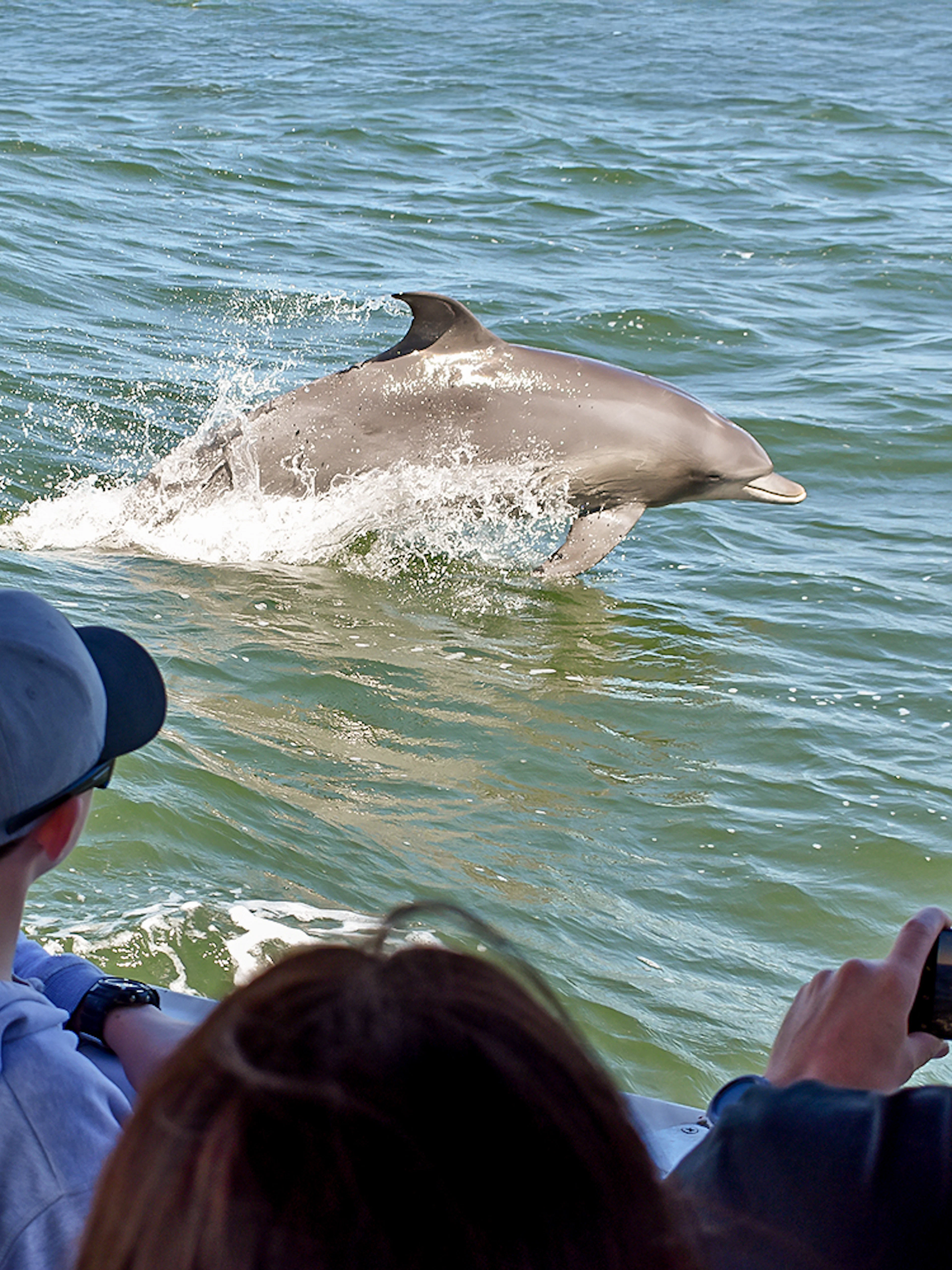 Kids and tourists on a boat watching a dolphin jump in the ocean.