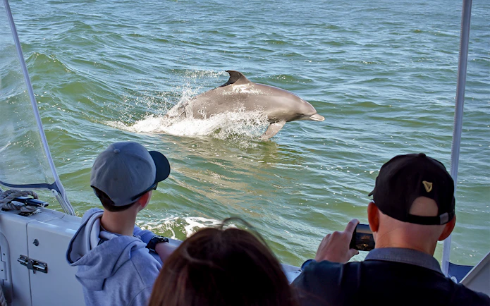 Kids and tourists on a boat watching a dolphin jump in the ocean.