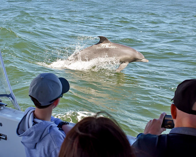 From Mandurah: Scenic View Dolphin Cruise