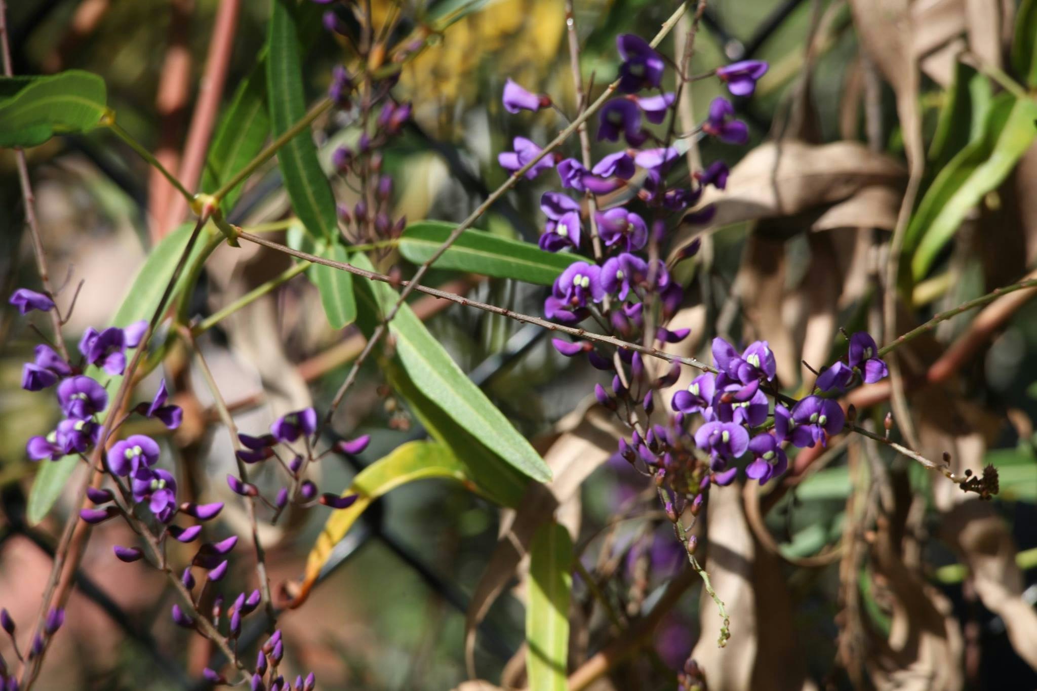 Nilgen Nature Reserve