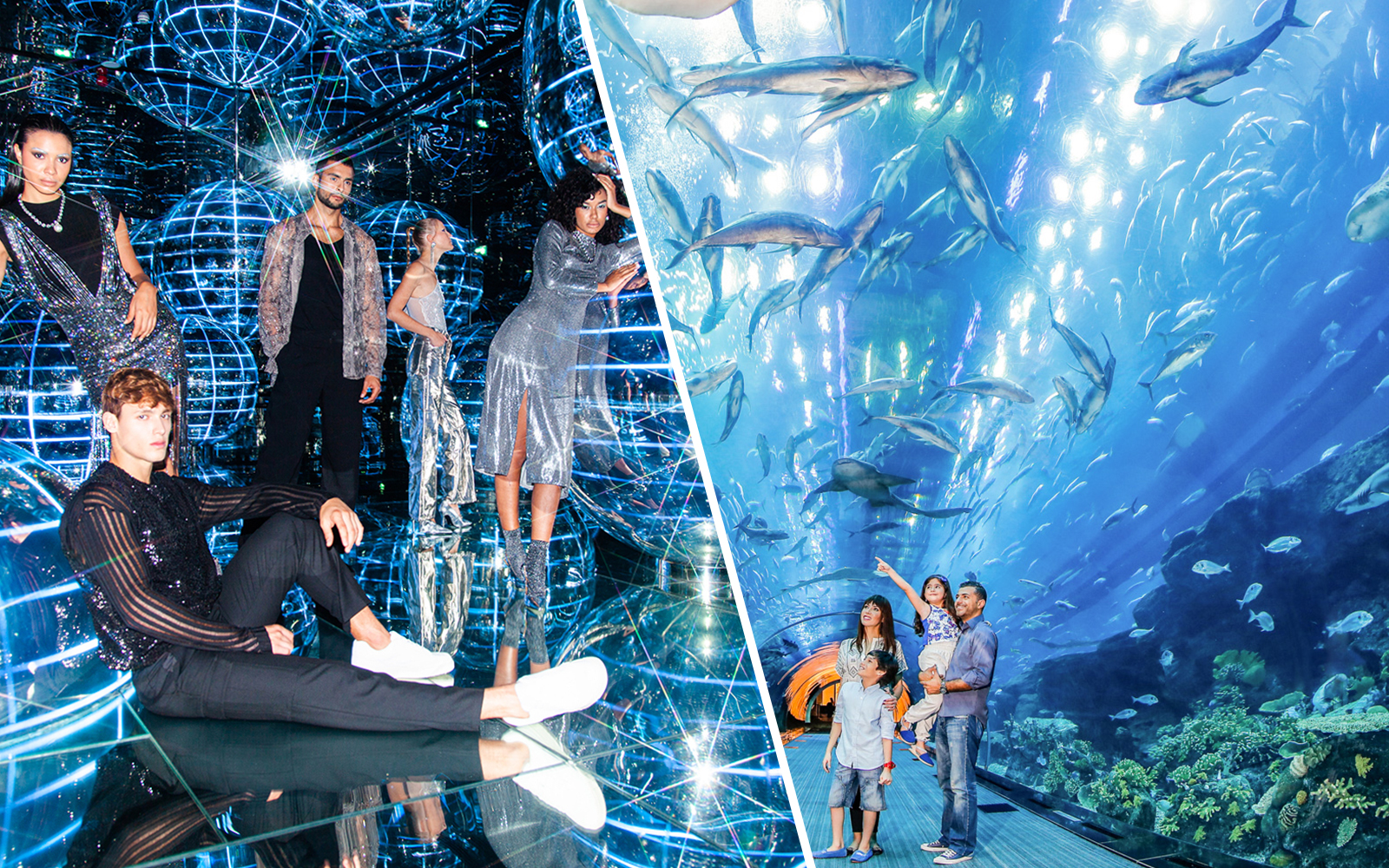 Combo (Save 25%): AYA Universe + Dubai Aquarium & Underwater Zoo Tickets