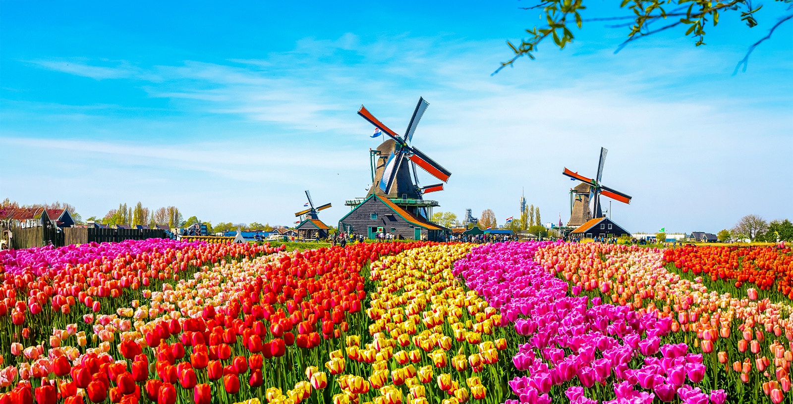 Zaanse Schans windmills along the river in the Netherlands.