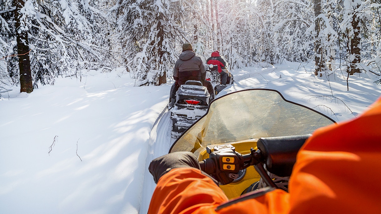 Snowmobiles driving through snowy forest in Zakopane.