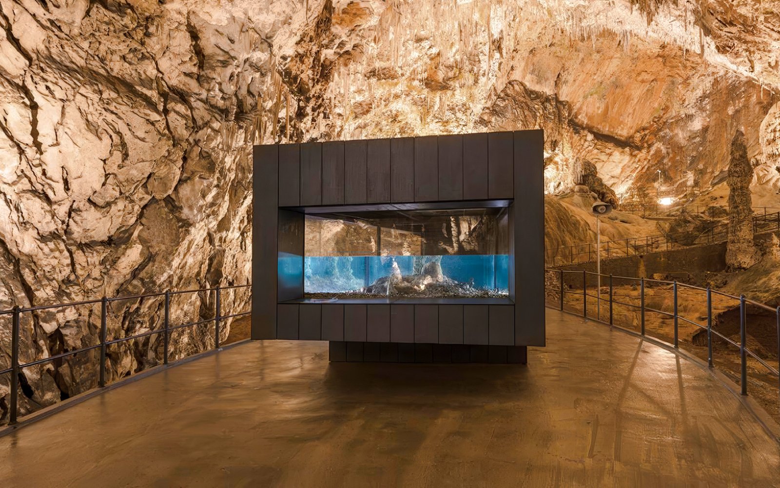 Postojna Cave interior with aquarium display and stalactite formations.