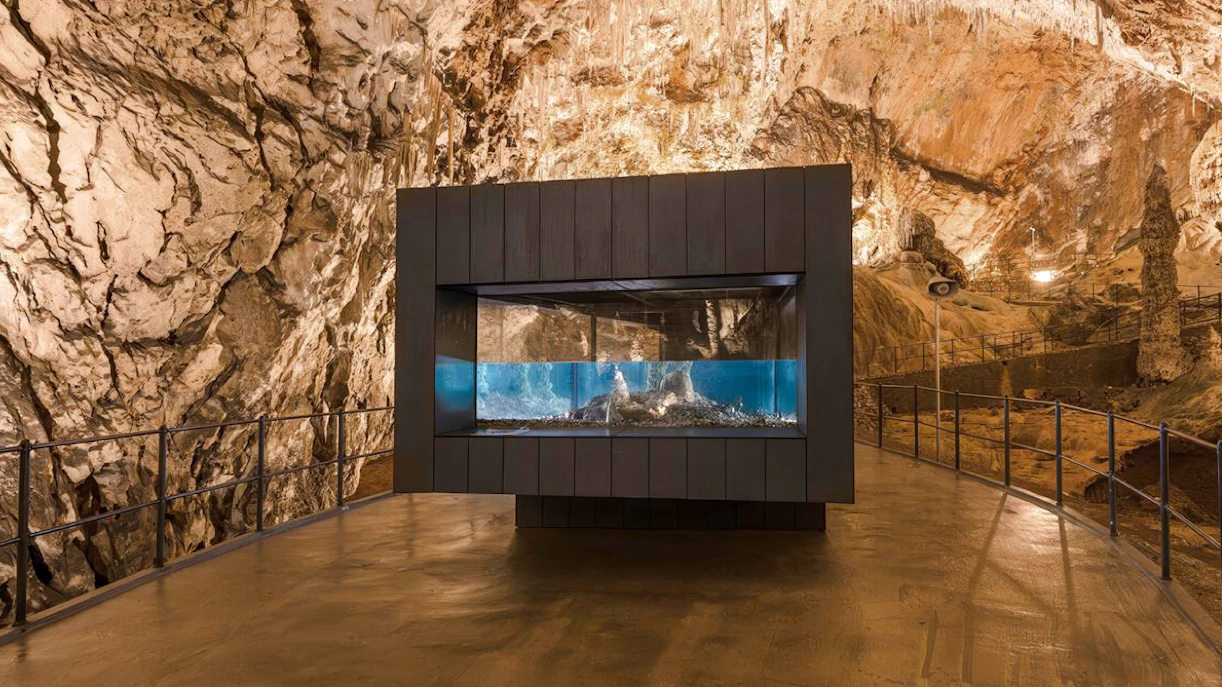Postojna Cave interior with aquarium display and stalactite formations.