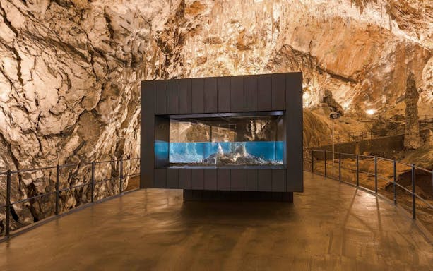 Postojna Cave interior with aquarium display and stalactite formations.