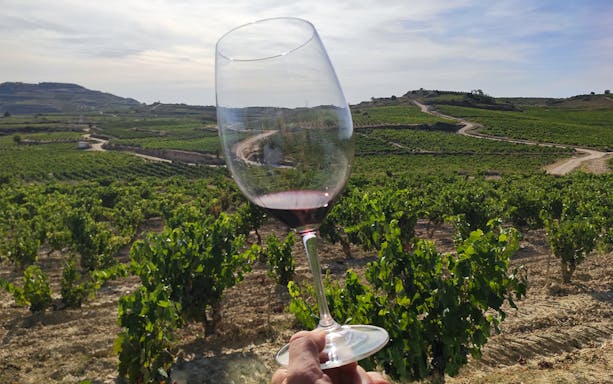 Wine glass held up against Rioja vineyard landscape during San Sebastian winery tour.