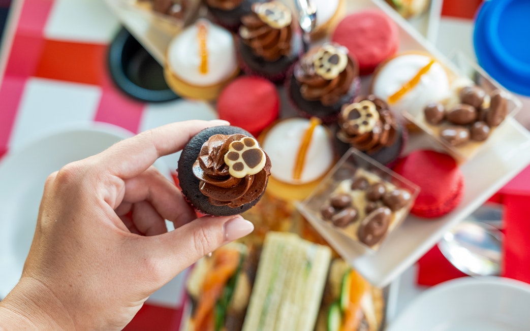 Hand holding a chocolate cupcake with paw print design, part of Paddington Afternoon Tea Bus spread.