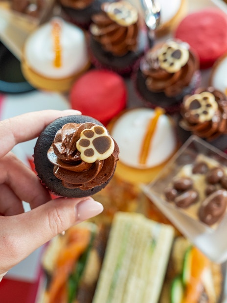 Hand holding a chocolate cupcake with paw print design, part of Paddington Afternoon Tea Bus spread.