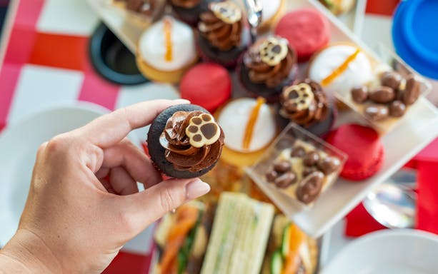 Hand holding a chocolate cupcake with paw print design, part of Paddington Afternoon Tea Bus spread.