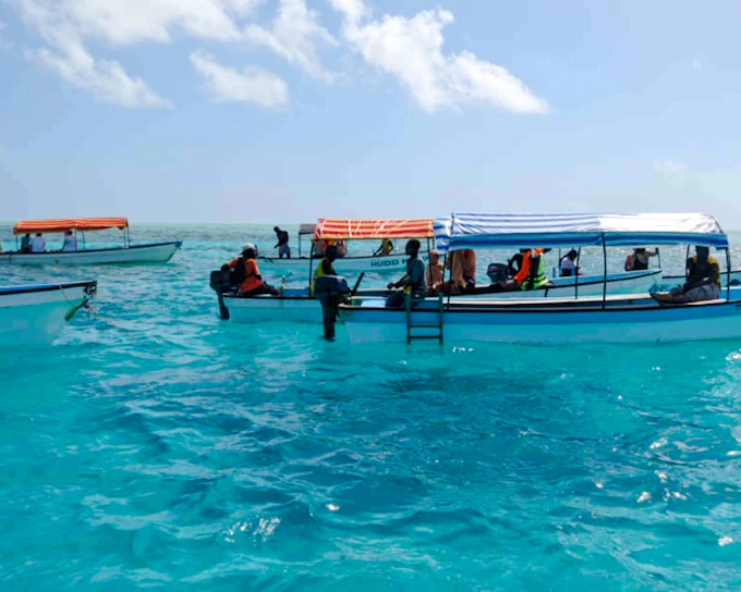 Zanzibar Deep-Sea Fishing Trip with Hotel Transfers (Product 55713)
