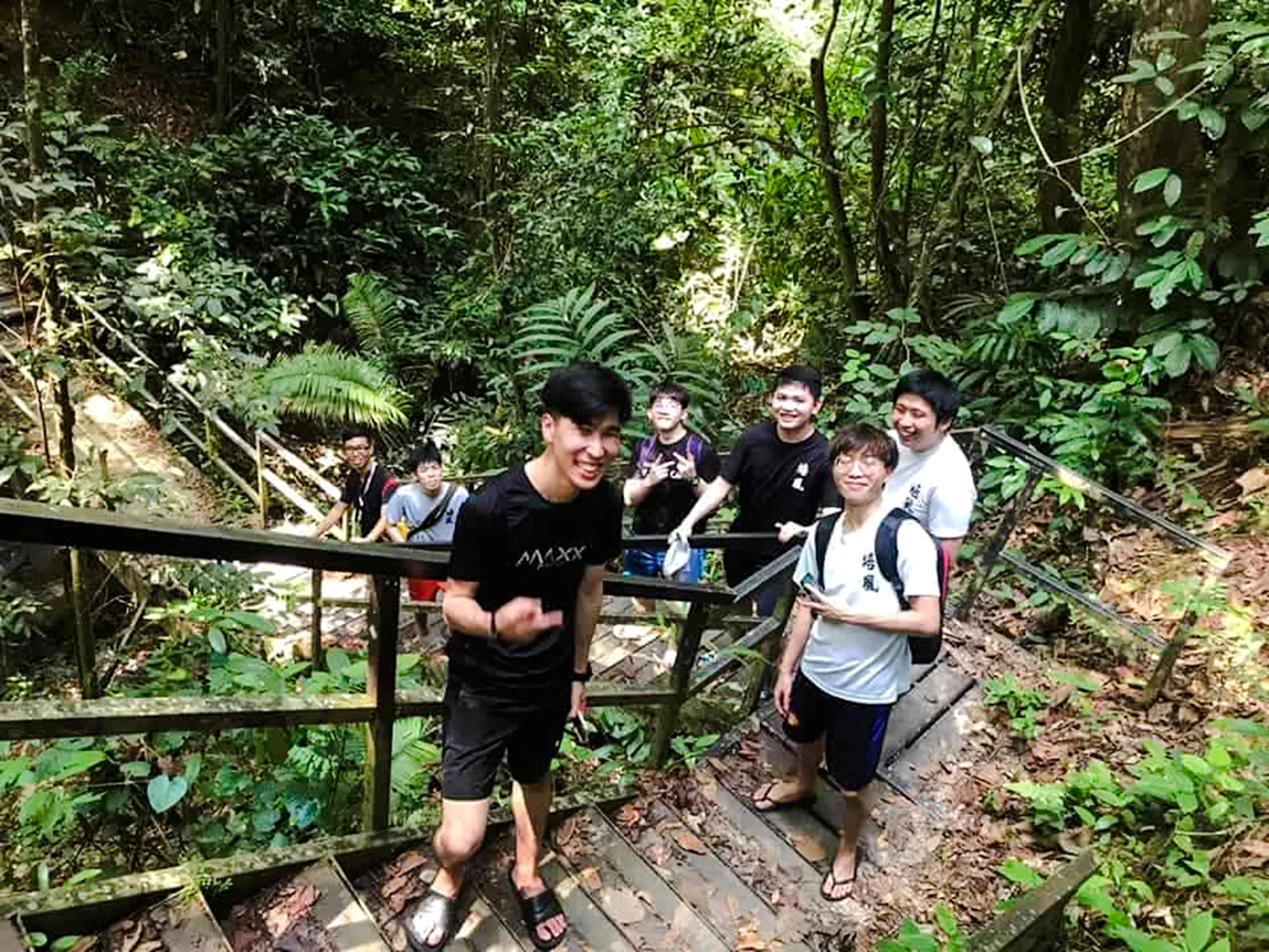 from kuala lumpur: taman negara national park private day trip with canopy walkway-9