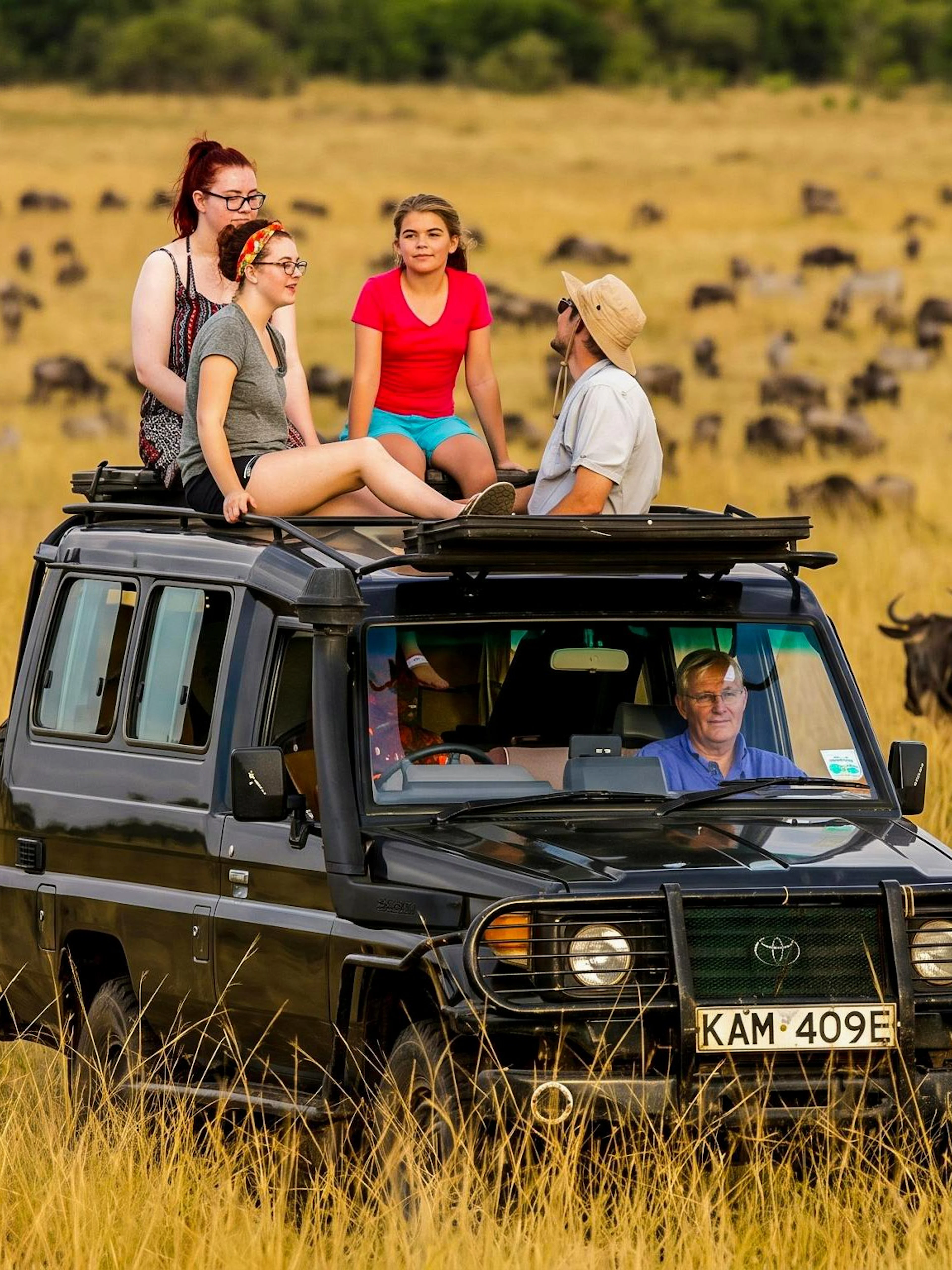Tourists on a safari vehicle observing wildebeest migration in Masai Mara, Kenya.